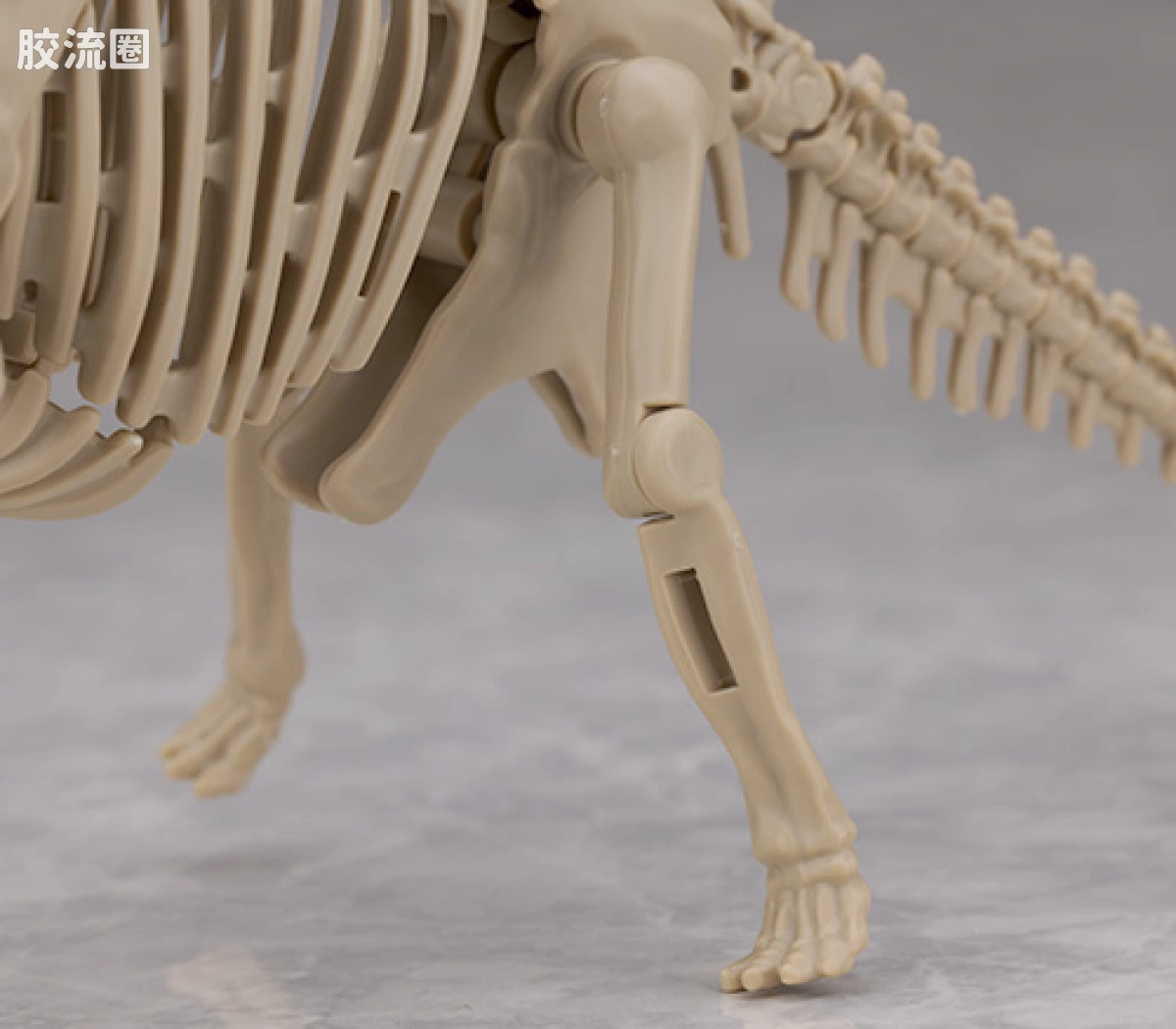 万代综合拼装模型系列 Plannosaurus <侏罗纪世界 重生> 泰坦巨龙 - 图片